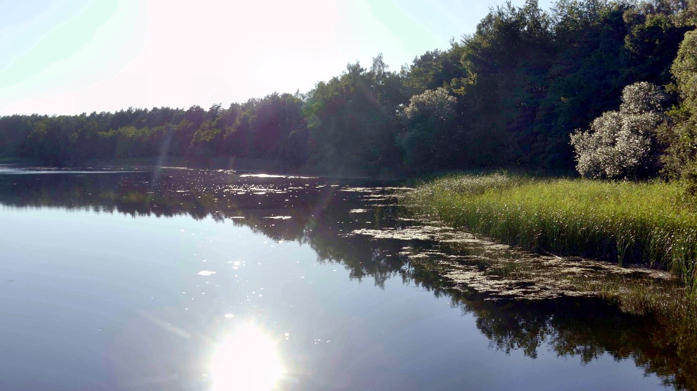 Dziwnów: Martwa Dziwna